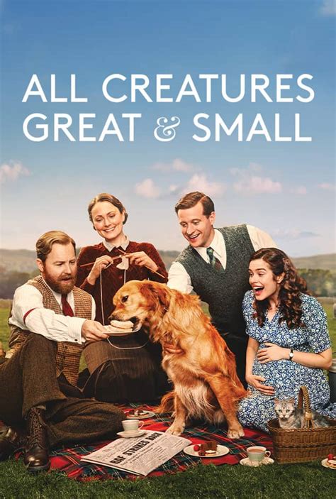 all creatures great and small 2021 torrentz|Torrent Info for All.Creatures.Great.And.Small.